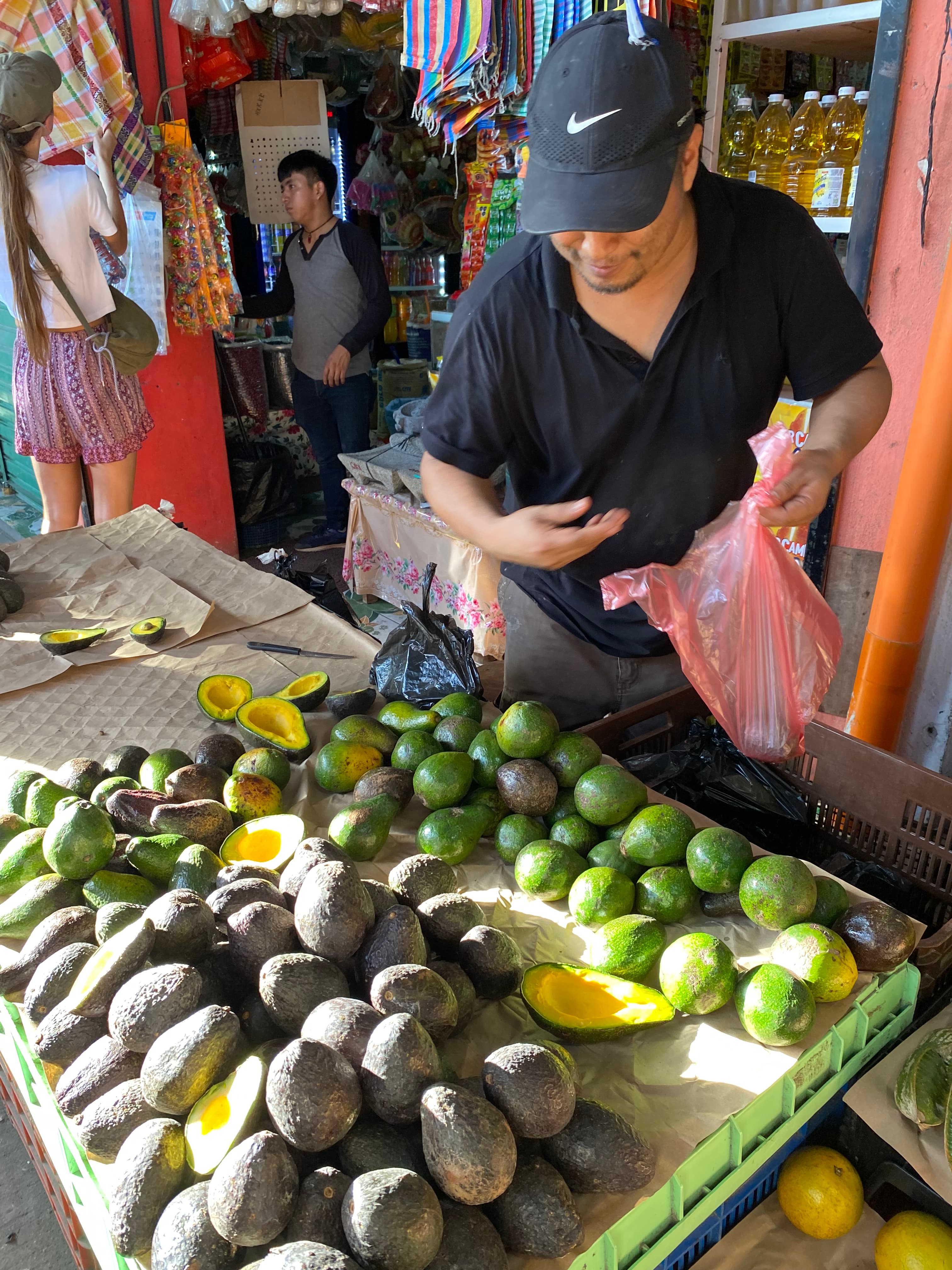 Fresh Avocados
